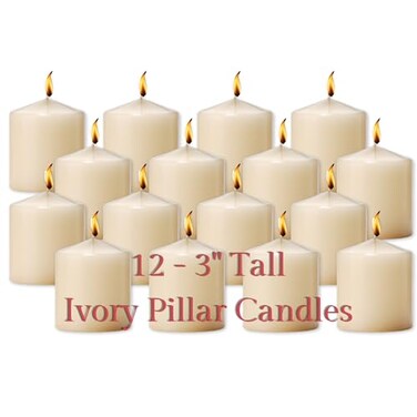 Hollowick Select Wax Ivory Solid Wax Pillar Candle 3 Dia x 3 H 12case