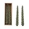 Creative Co-Op Creative CoOp Unscented Tree Shaped Taper Candles Evergreen Boxed Set Of 2