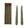 Creative Co-Op Creative CoOp Unscented Tree Shaped Taper Candles Evergreen Boxed Set Of 2