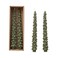 Creative Co-Op Creative CoOp Unscented Tree Shaped Taper Candles Evergreen Boxed Set Of 2