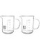 QWORK Beaker with Handle 250ml845oz Measuring Cup Borosilicate Glass Beaker Mug with Pouring Spout 2 Pack
