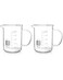 QWORK Beaker with Handle 250ml845oz Measuring Cup Borosilicate Glass Beaker Mug with Pouring Spout 2 Pack