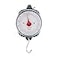 Taylor Dial Style 70Pound Industrial Hanging Scale