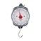 Taylor Dial Style 70Pound Industrial Hanging Scale