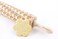 STODOLA Rolling Pin Embossed with ELEPHANTS Pattern for Baking Engraved Cookies Size Large 169 inch