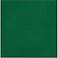 Creative Converting Hunter Green Luncheon Napkin 2 Ply Solid
