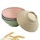 CAMBUY Wheat Straw Ramen Bowls 4 Pack 32 Oz Plastic Dinner Bowl Set
