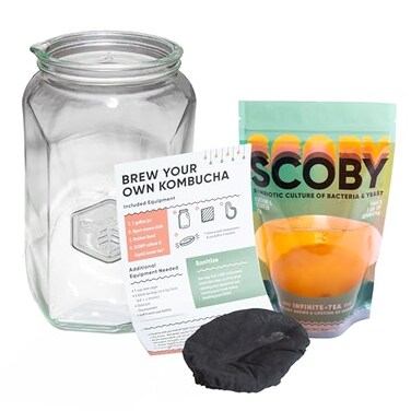 Craft A Brew Kombucha Basic Starter Kit For Home Brewing Includes Fresh Kombucha SCOBY Starter 1 Gallon Fermenting Jar Cloth Cover Brewing Guide