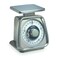 Taylor Stainless Steel Analog Portion Control Scale 50Pound