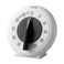 Taylor Mechanical Long Ring Timer