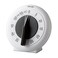 Taylor Mechanical Long Ring Timer