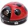 Kikkerland Ladybug Kitchen Timer Red KT21A 57 x 57 x 44 cm