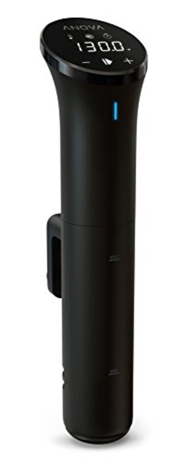 Anova Culinary Sous Vide Precision Cooker Nano 20