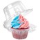 LotFancy Individual Cupcake Containers 100 Pcs Plastic Clear Cupcake Boxes Disposable Single Cupcake Holders with Dome Lid Stackable Muffin Carrier for Wedding Baby Shower