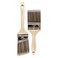 Pro Grade Paint Brushes 2Pk Paint Brush Set