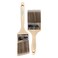 Pro Grade Paint Brushes 2Pk Paint Brush Set
