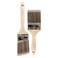 Pro Grade Paint Brushes 2Pk Paint Brush Set