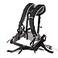 ProTeam 840011 Harness Assembly
