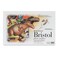 Strathmore 11X17 2 PLY Plate Bristol 24Pack