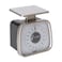 Taylor TP16 Mechanical SS Fixed Dial Portion Scale 16 oz x 14 oz