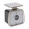Taylor TP16 Mechanical SS Fixed Dial Portion Scale 16 oz x 14 oz