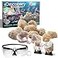 Discovery Mystery Crystal Geode Kit Crack Open 10 Real Quartz Geodes Includes Goggles Magnifying Glass Display Stands Educational STEM Geology Toy for Kids Science Activity Set Gift Ages 6