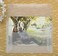 JAM Paper JAM PAPER 9 x 12 Booklet Translucent Vellum Envelopes Clear 25Pack