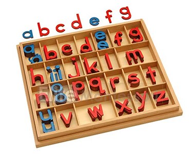 Elite Montessori Wooden Movable Alphabet with Box Preschool Spelling Learning Materials Red Blue 5mm Thick