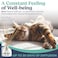 SIGNS SecureCat Calming Diffuser for Supporting Calm and WellBeing to Help Relieve Any Feeling of Anxiety or Stress Cat Pheromone Passive Stick Diffuser Home Starter Kit