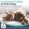 SIGNS SecureCat Calming Diffuser for Supporting Calm and WellBeing to Help Relieve Any Feeling of Anxiety or Stress Cat Pheromone Passive Stick Diffuser Home Starter Kit