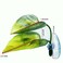 BBDDKEG DODO Aqua Betta Fish Leaf Soft Bed Simulating The Natural Habitat for Betta Spawning Grounds Breeding Resting Bed Plastic Suction Cup 1pcs