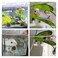 BBDDKEG DODO Aqua Betta Fish Leaf Soft Bed Simulating The Natural Habitat for Betta Spawning Grounds Breeding Resting Bed Plastic Suction Cup 1pcs