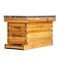 BeeCastle 5 Frame Bee Hive Nuc Box Coated with 100 Beeswax Includes Beehive Frames and Waxed Foundations