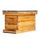 BeeCastle 5 Frame Bee Hive Nuc Box Coated with 100 Beeswax Includes Beehive Frames and Waxed Foundations