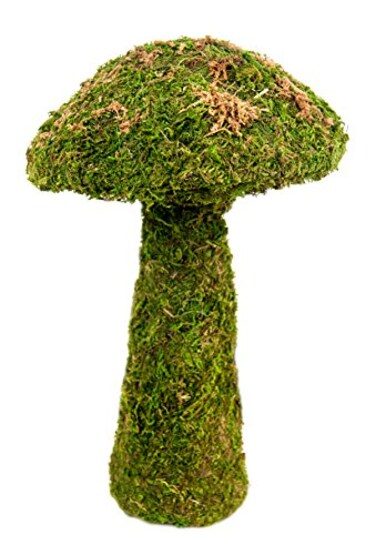 SuperMoss 55271 Deco Moss Small Mushroom 11 Fresh Green
