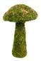 SuperMoss 55271 Deco Moss Small Mushroom 11 Fresh Green