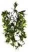 Exo Terra Plastic Terrarium Plant Medium Mandarin