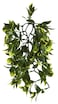 Exo Terra Plastic Terrarium Plant Medium Mandarin