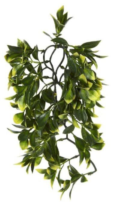 Exo Terra Plastic Terrarium Plant Medium Mandarin