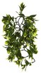 Exo Terra Plastic Terrarium Plant Medium Mandarin