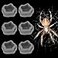 DQITJ 6 Pcs Spider Micro Water Bowl Mini Resin Dish Tiny Bowl for Tarantula Spider Millipede Tiny Reptile Small 094 D 047 H