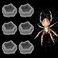 DQITJ 6 Pcs Spider Micro Water Bowl Mini Resin Dish Tiny Bowl for Tarantula Spider Millipede Tiny Reptile Small 094 D 047 H