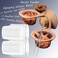 Fuongee Gecko Feeding Ledge Suction Cup Feeder with 20 Pack 1 oz Feeder Cups and Feeding Tong for Small Reptiles