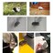Wontee Adjustable Leash Harness with Bell for Rat Mouse Squirrel Guinea Pig Walking Training Blue