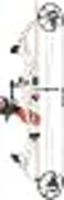 Bear Archery Cajun Sucker Punch PRO Glow Bowfishing KIT