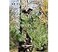 Pine Ridge Archery Tree Stand Branch Holders