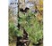 Pine Ridge Archery Tree Stand Branch Holders