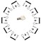 LORADAR 10Pack Laptop Security Cable Lock 62Feet Retractable Cable Lock for Laptops Monitor Other Devices Keyed DifferentMaster Key
