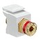 Leviton QuickPort Binding Post Adapter with Red Stripe 40833BWR White