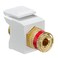 Leviton QuickPort Binding Post Adapter with Red Stripe 40833BWR White